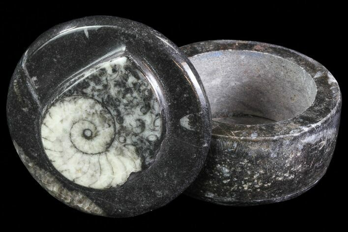 Small Fossil Goniatite Jar (Black) - Stoneware #66592